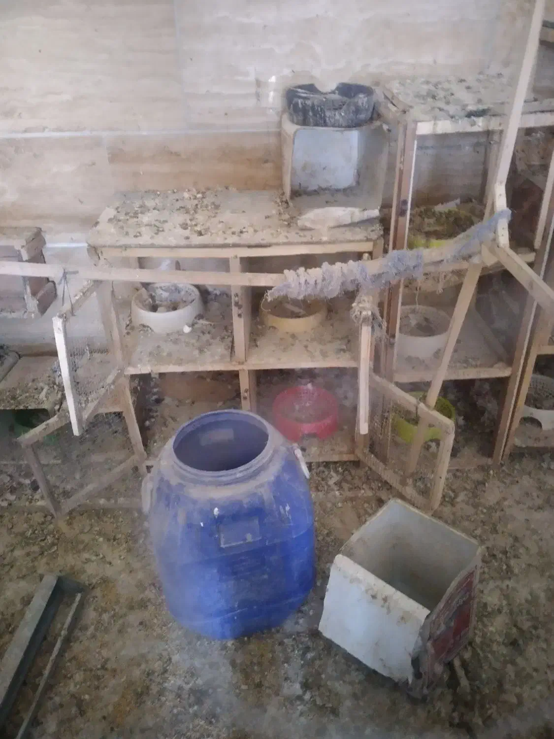 قفس و جفت کن کبوتر|لوازم جانبی حیوانات|ملایر, |دیوار