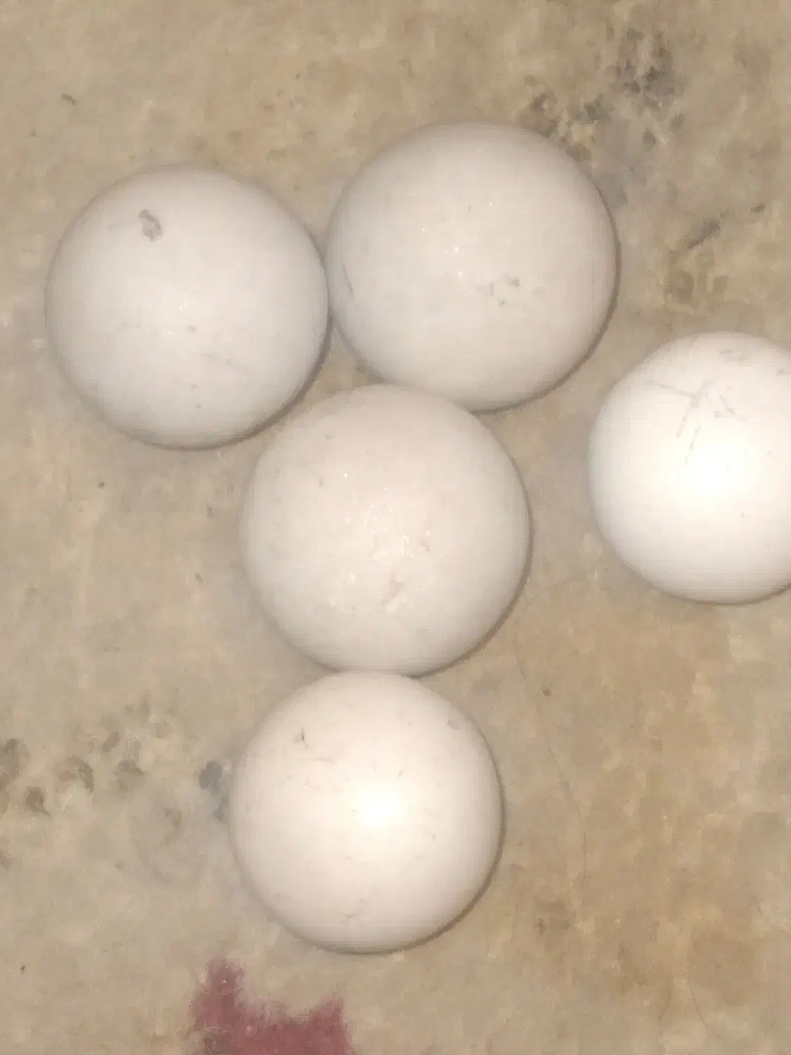 سنگ های قدیمی|کلکسیون اشیاء عتیقه|فولادشهر, B7|دیوار