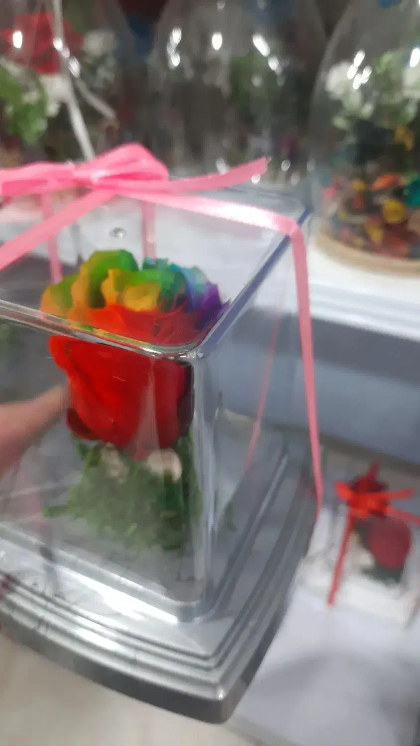 گل رز جاودان|گل و گیاه طبیعی|الوند, |دیوار