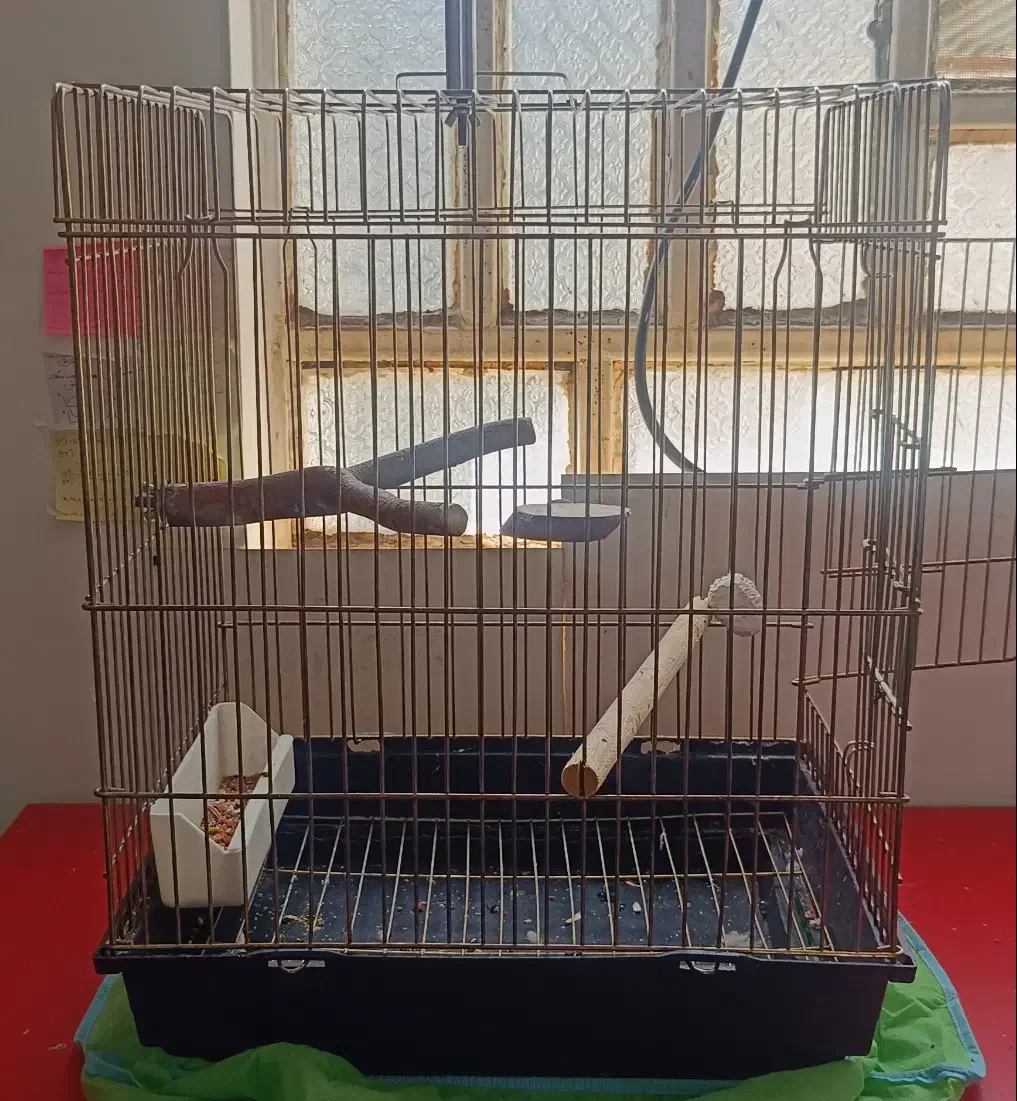 قفس مناسب تمام پرنده ها|لوازم جانبی حیوانات|ایلام, |دیوار