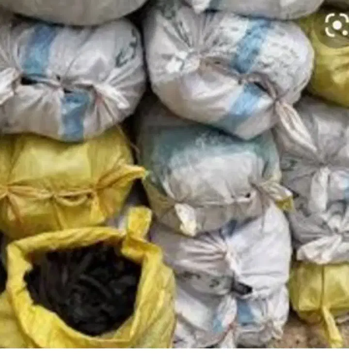 زغال قلیونی و کبابی ب ل و ط|عمدهفروشی|شاهینشهر, شهرک سایت|دیوار