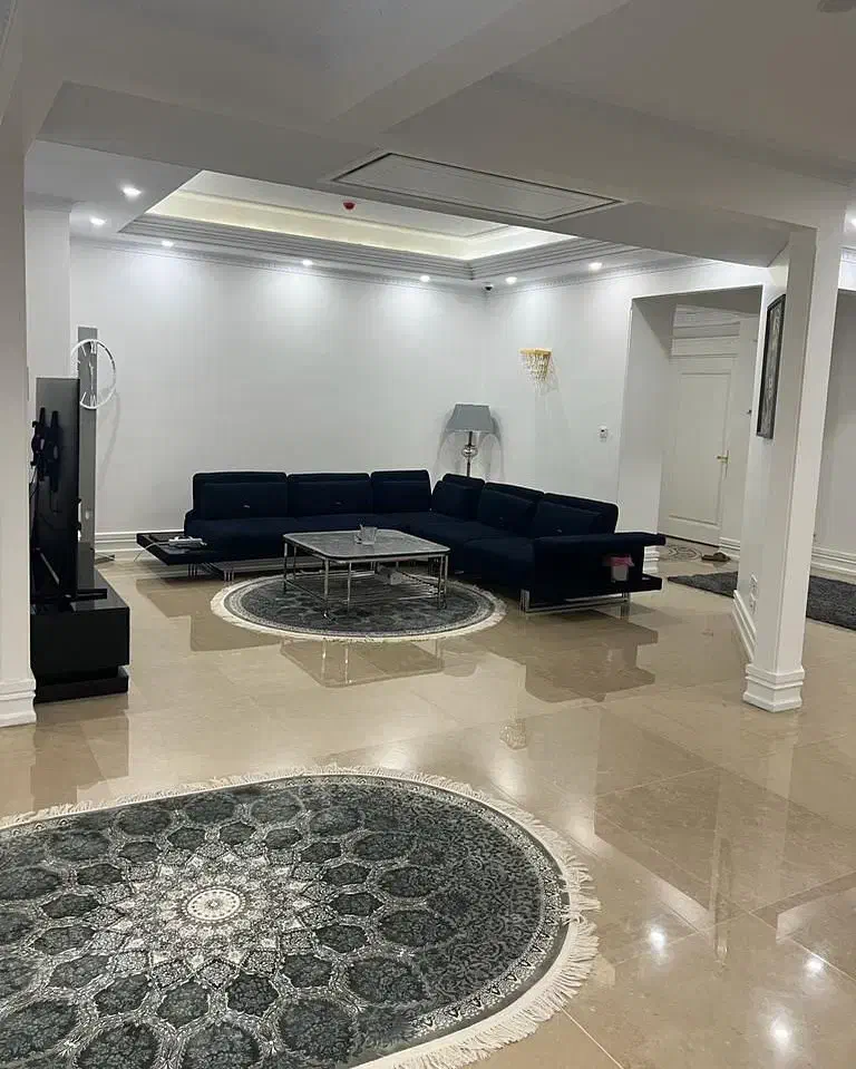 ۲۰۰متر/تک واحدی/طبقه آخر/سرمایه گذاری/۲ پارکینگ|فروش آپارتمان|تهران, درختی|دیوار