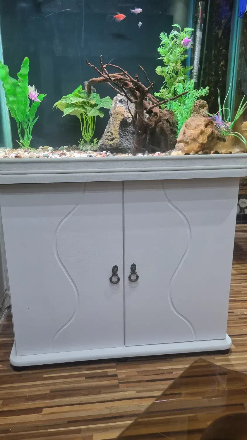 فروش آکواریوم شرکتی ۸۰ سانت،سالم و تمیز|ماهی|چمران, |دیوار