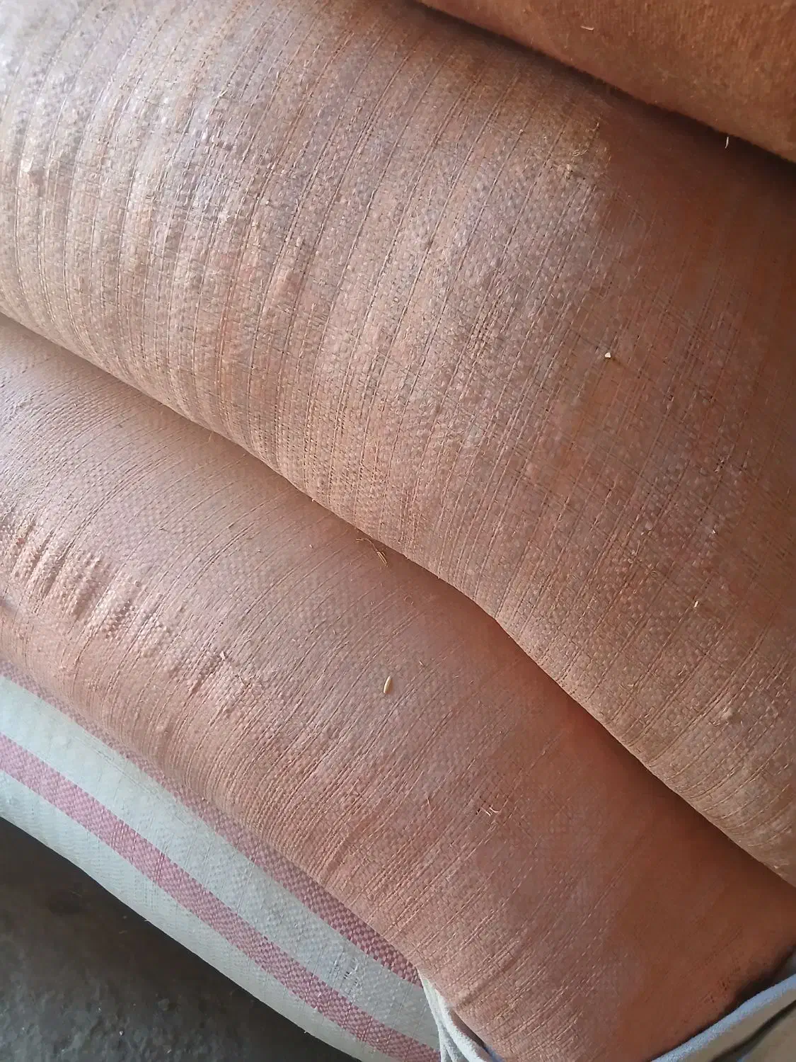 فروش بیده علوفه آماده استفاده برای گوسفند|حیوانات مزرعه|اسفراین, |دیوار