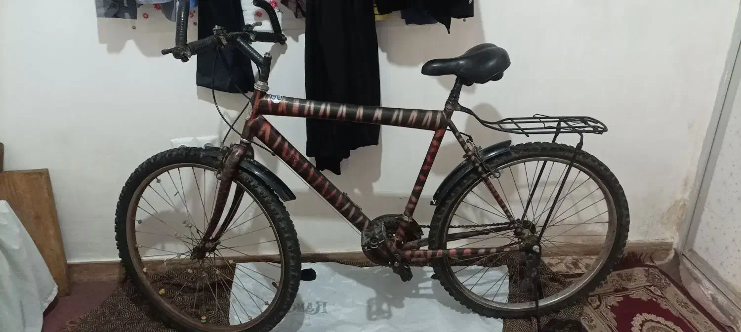 دوچرخه|دوچرخه، اسکیت، اسکوتر|قدس, شهر‌قدس|دیوار