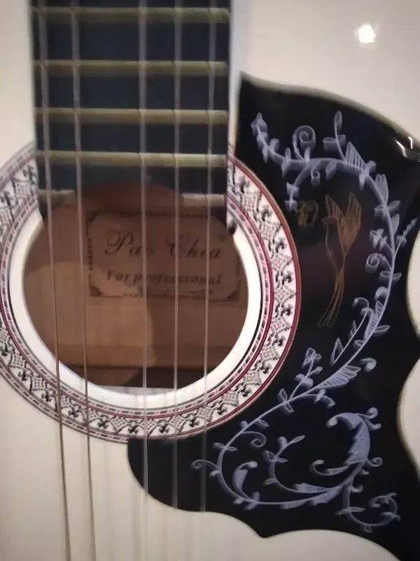 گیتار پائو چیا pao chia|گیتار، بیس، امپلیفایر|تهران, هوانیروز|دیوار