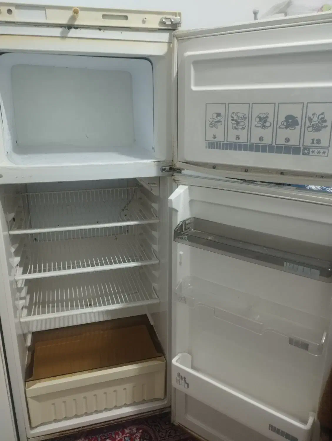 یخچال فریزر فیلور|یخچال و فریزر|مهریز, |دیوار