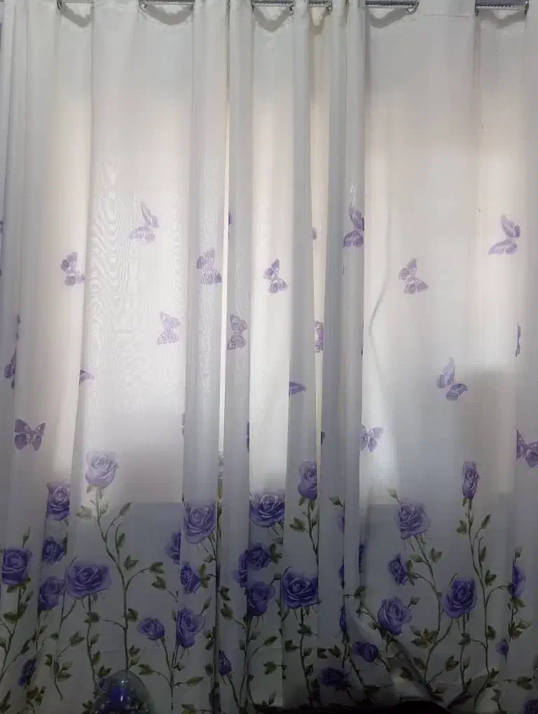 ۳تا،پرده  حریر|پرده، رانر، رومیزی|بوشهر, |دیوار