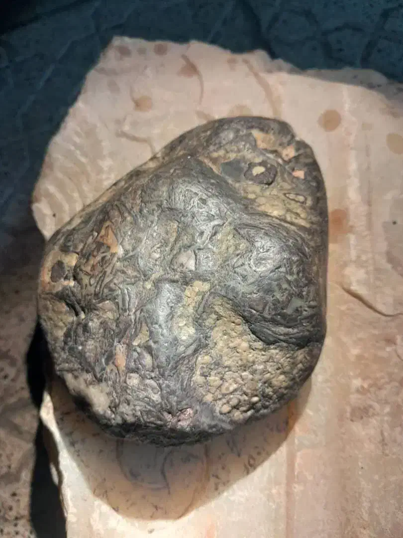 شکار سنگهای قیمتی|فعالیت داوطلبانه|تبریز, |دیوار