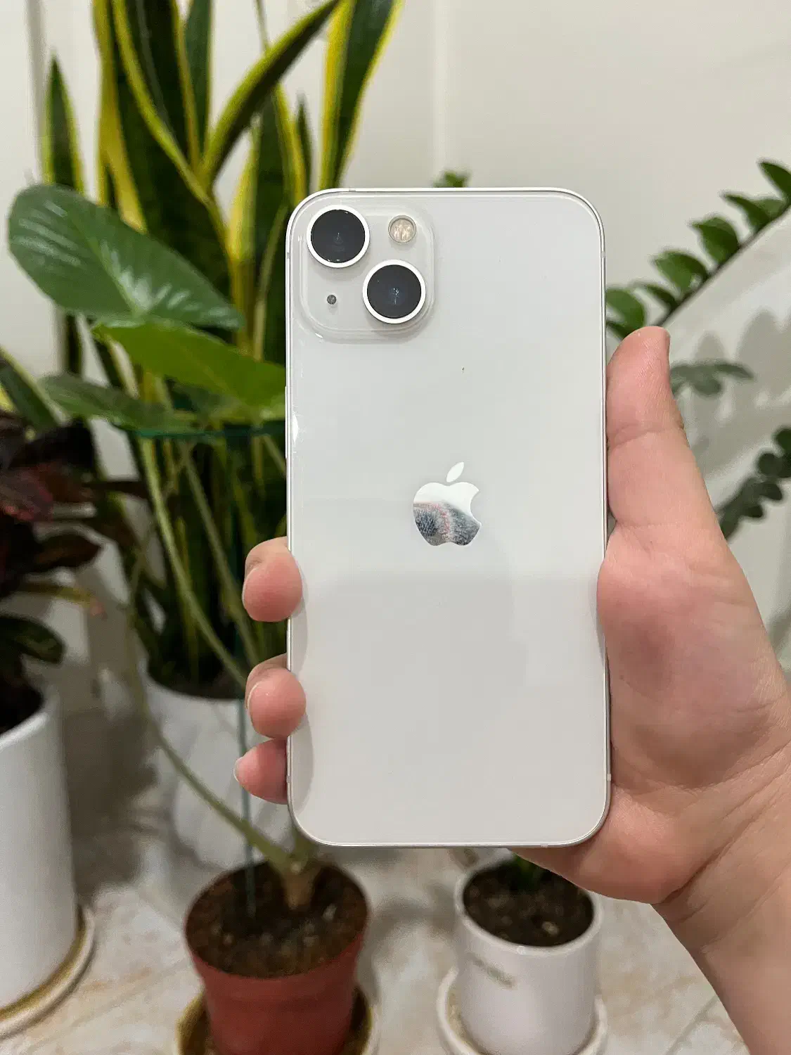 ایفون 13 نرمال|موبایل|کرمانشاه, |دیوار