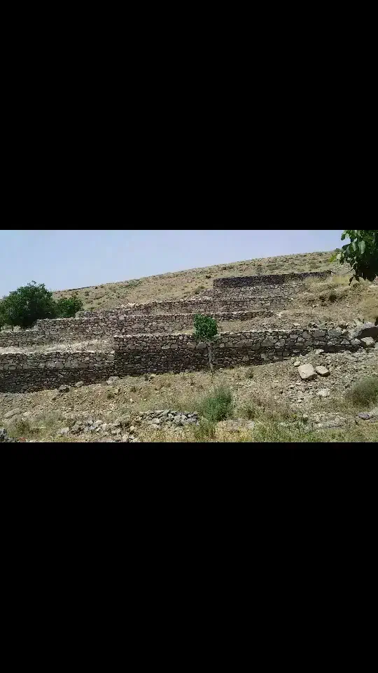 زمین باغی|فروش دفتر صنعتی، کشاورزی، تجاری|شاهین‌شهر, مسکن مهر|دیوار