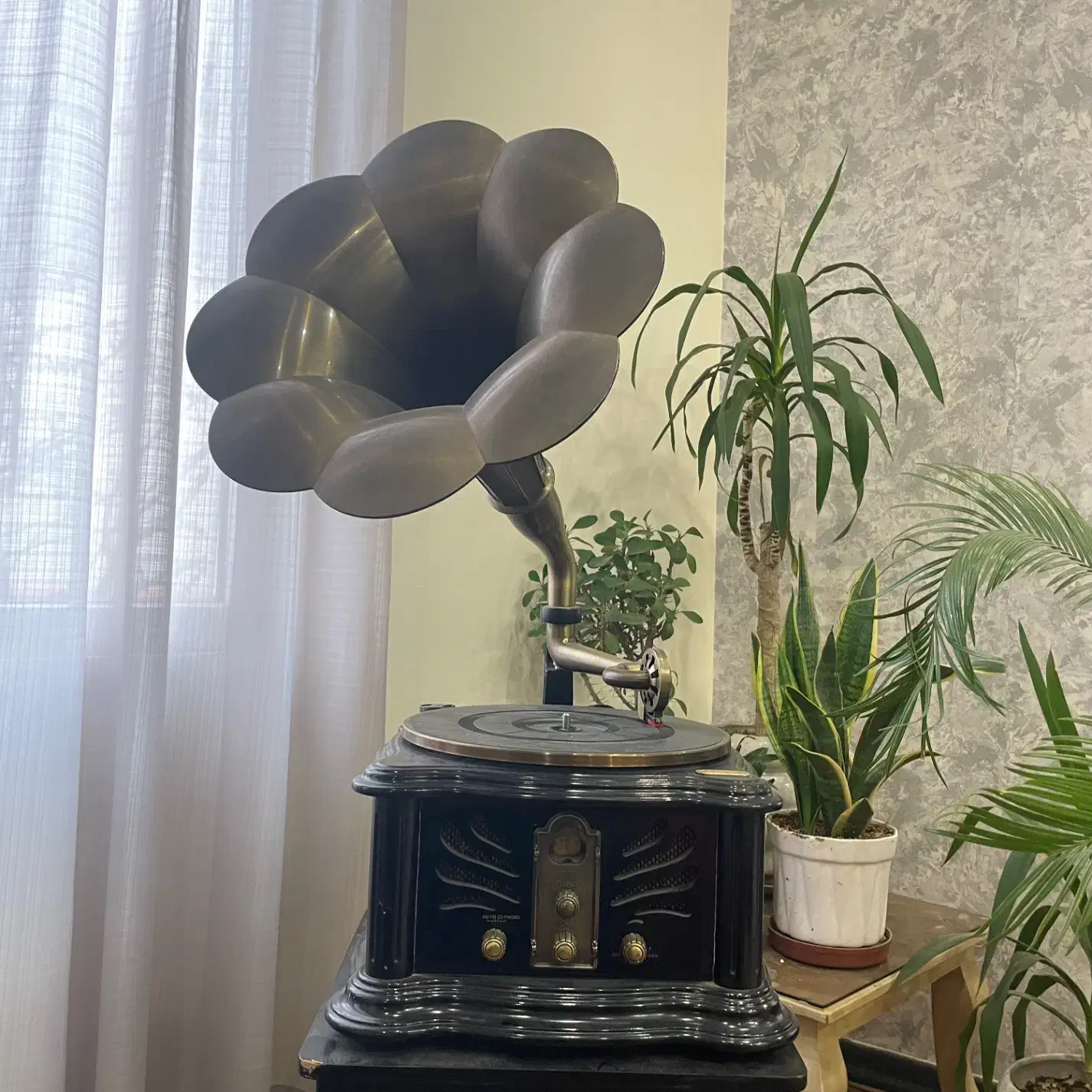 گرامافون|کلکسیون اشیاء عتیقه|کرج, کوی کارمندان جنوبی|دیوار