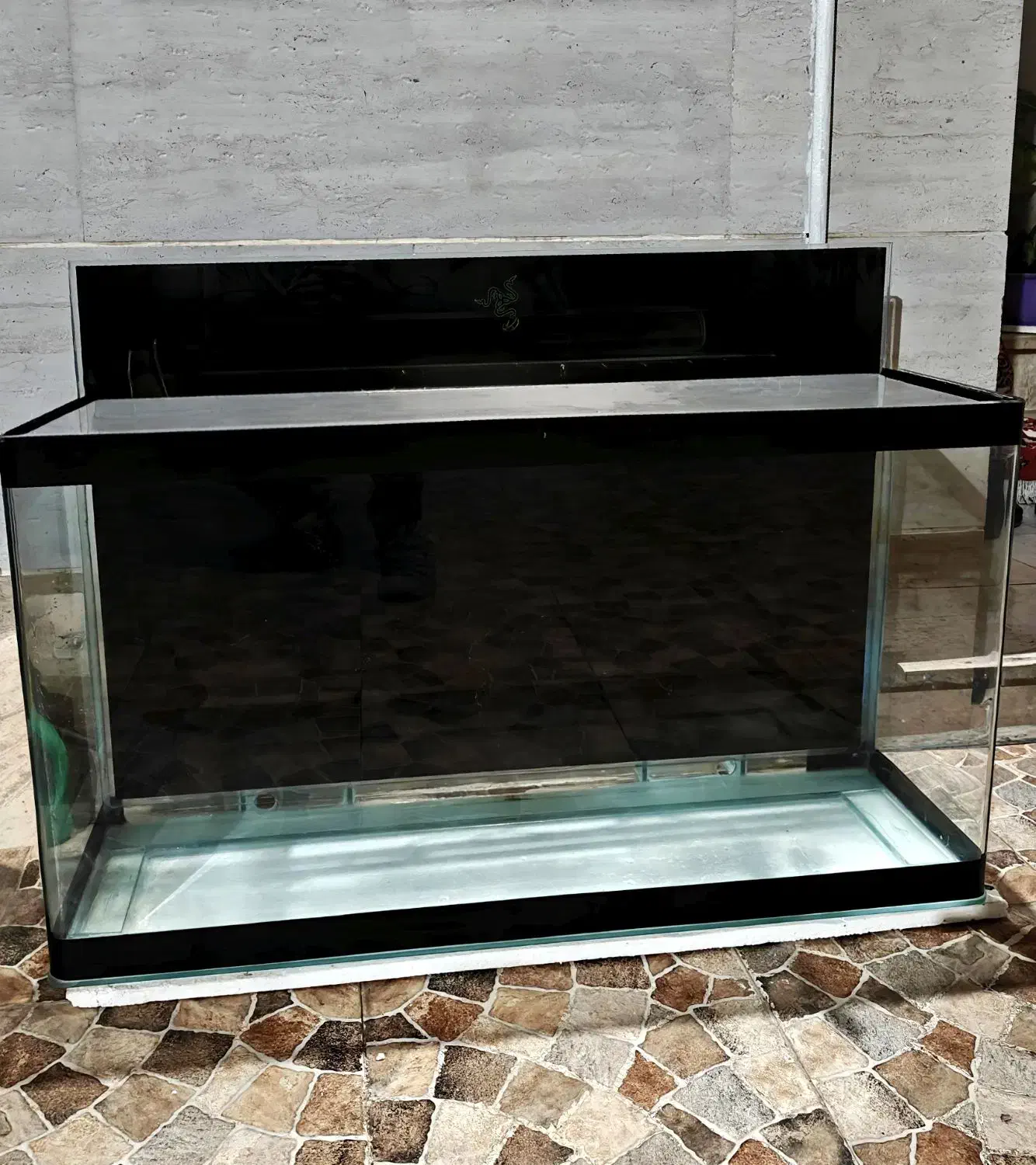 آکواریوم خارجی شیشه خم|ماهی|رشت, چمارسرا|دیوار