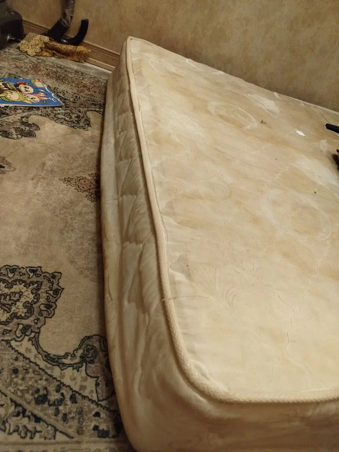 خوشخواب طبی فنری|تشک تختخواب|مشهد, انقلاب|دیوار