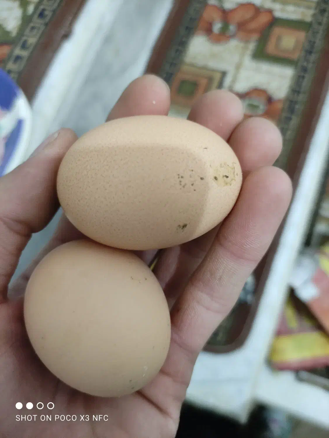 تخم مشکی تخم مرغ مشکی صدرصد ارگانیک طبیعی|خوردنی و آشامیدنی|کرج, کیانمهر|دیوار