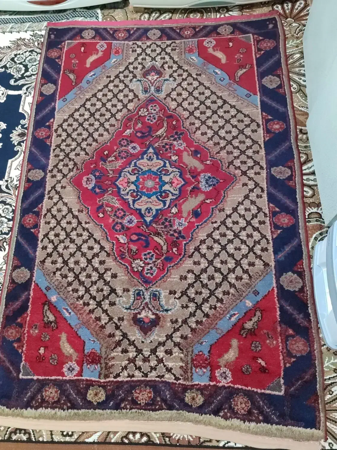 فرش دستباف قدیمی|فرش|کرمانشاه, |دیوار