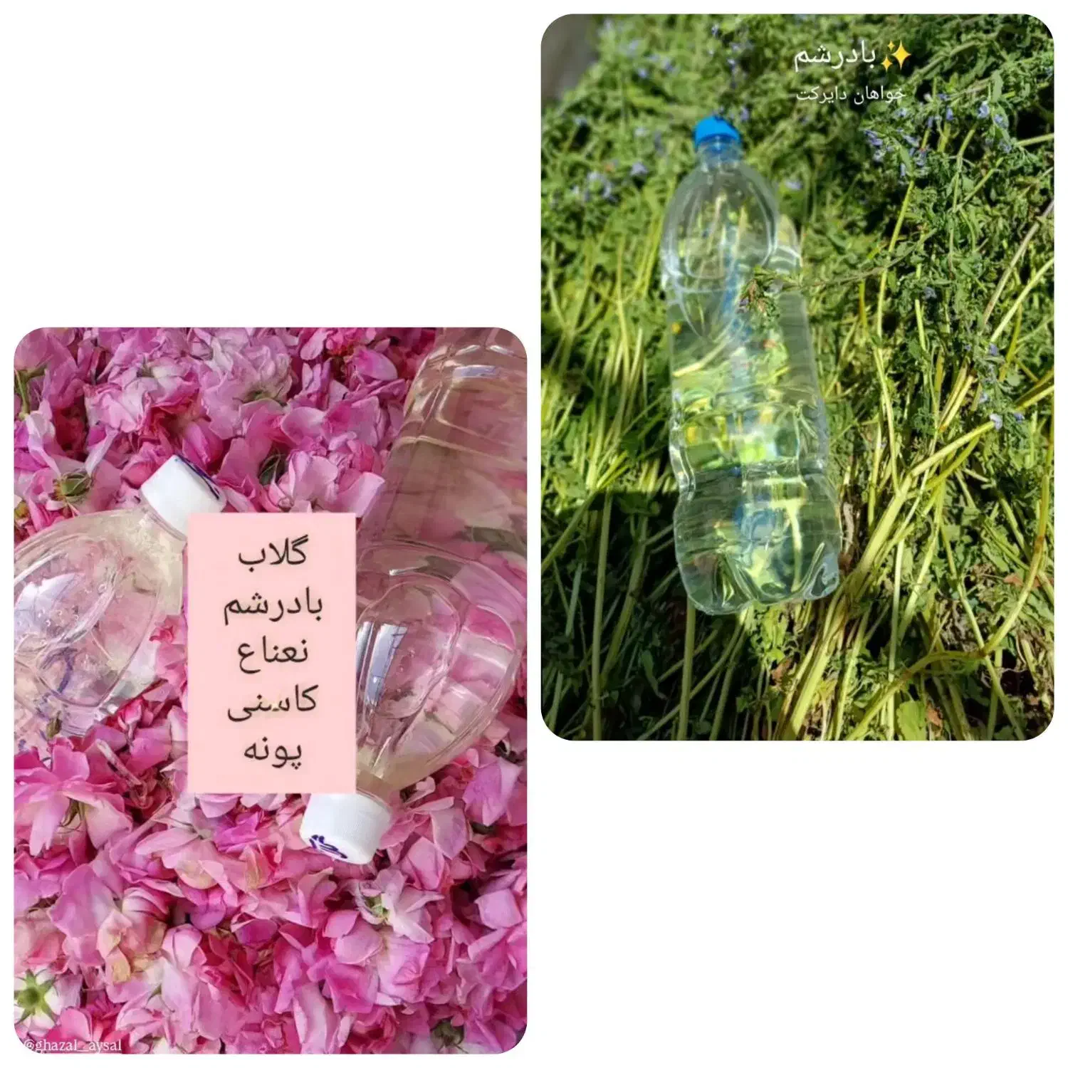 عرقیات خانگی|خوردنی و آشامیدنی|قره ضیاالدین, |دیوار