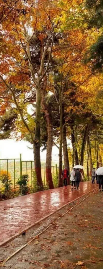 مدارک گم شده|اشیا|اهواز, مهرشهر|دیوار