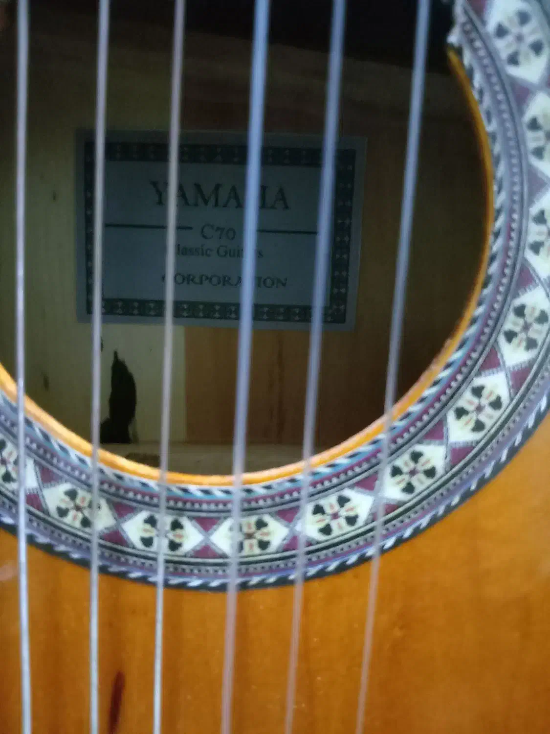 گیتار|گیتار، بیس، امپلیفایر|گرگان, |دیوار