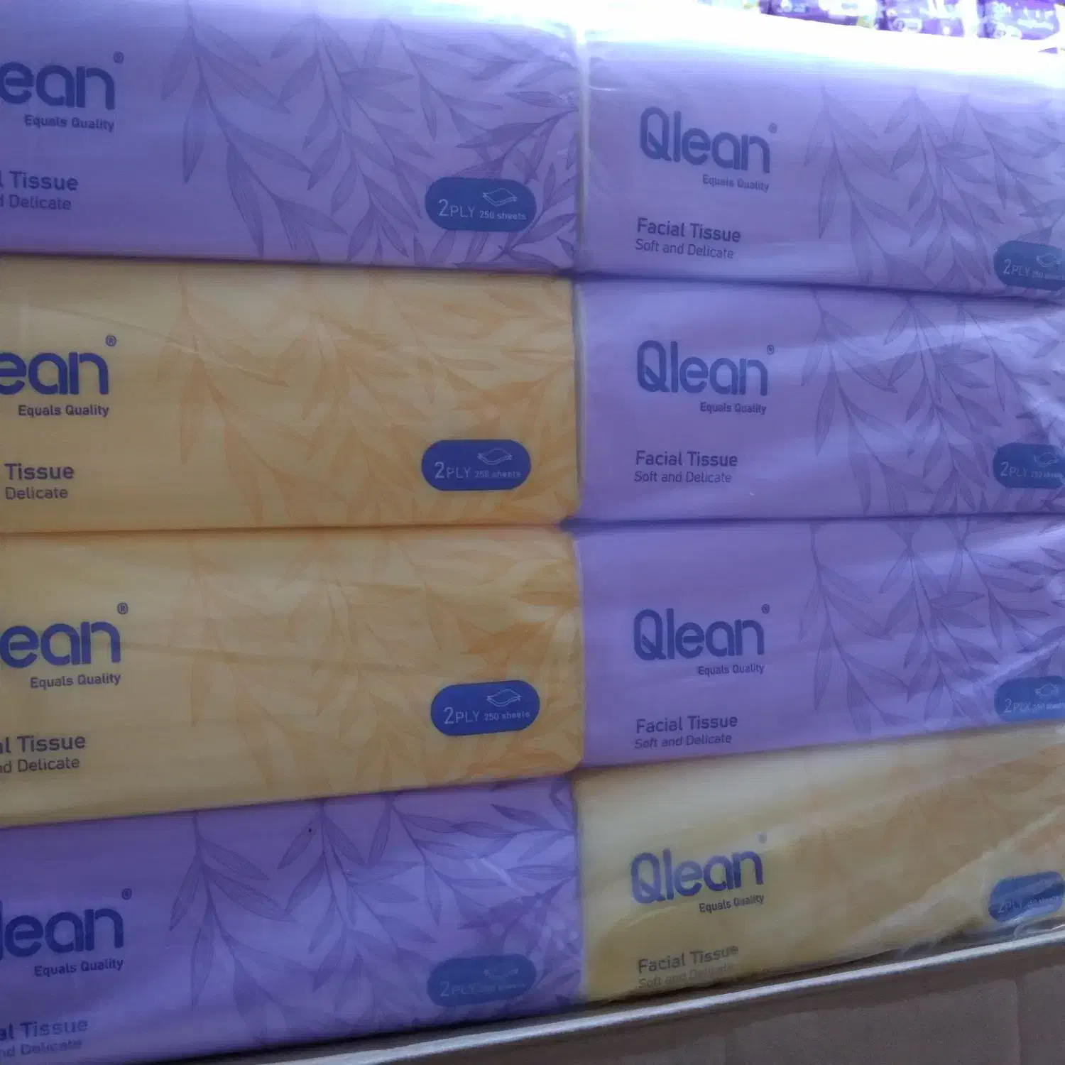 دستمال ۵۰۰ برگ سافتلن ۱۰ لیتری|مواد شوینده و دستمال کاغذی|مشهد, پنجتن|دیوار