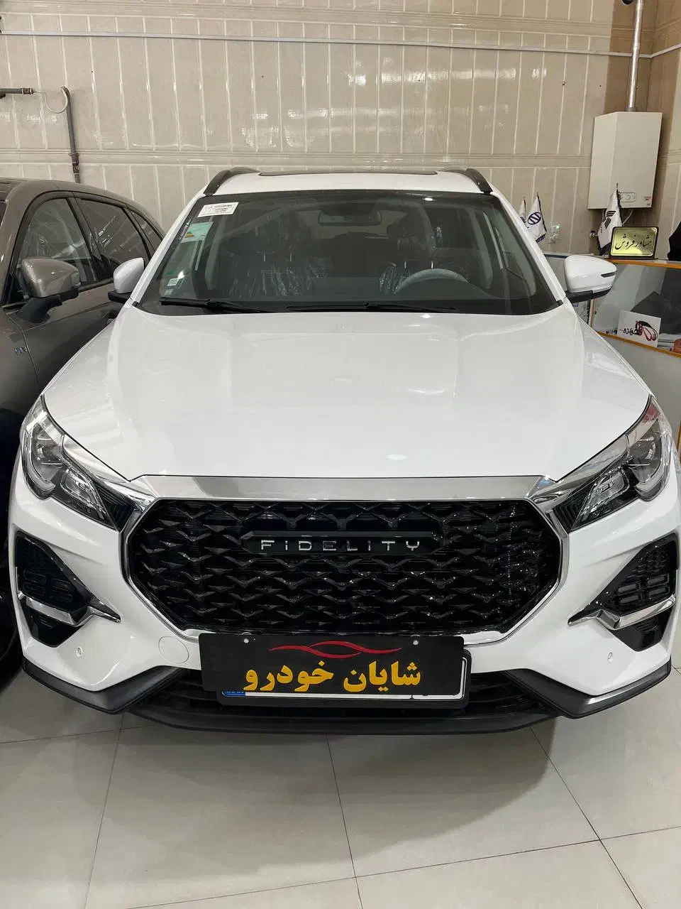 فیدلیتی / دیگنیتی / لاماری / سفید و مشکی|خودرو سواری و وانت|کرج, مهرویلا جنوبی|دیوار