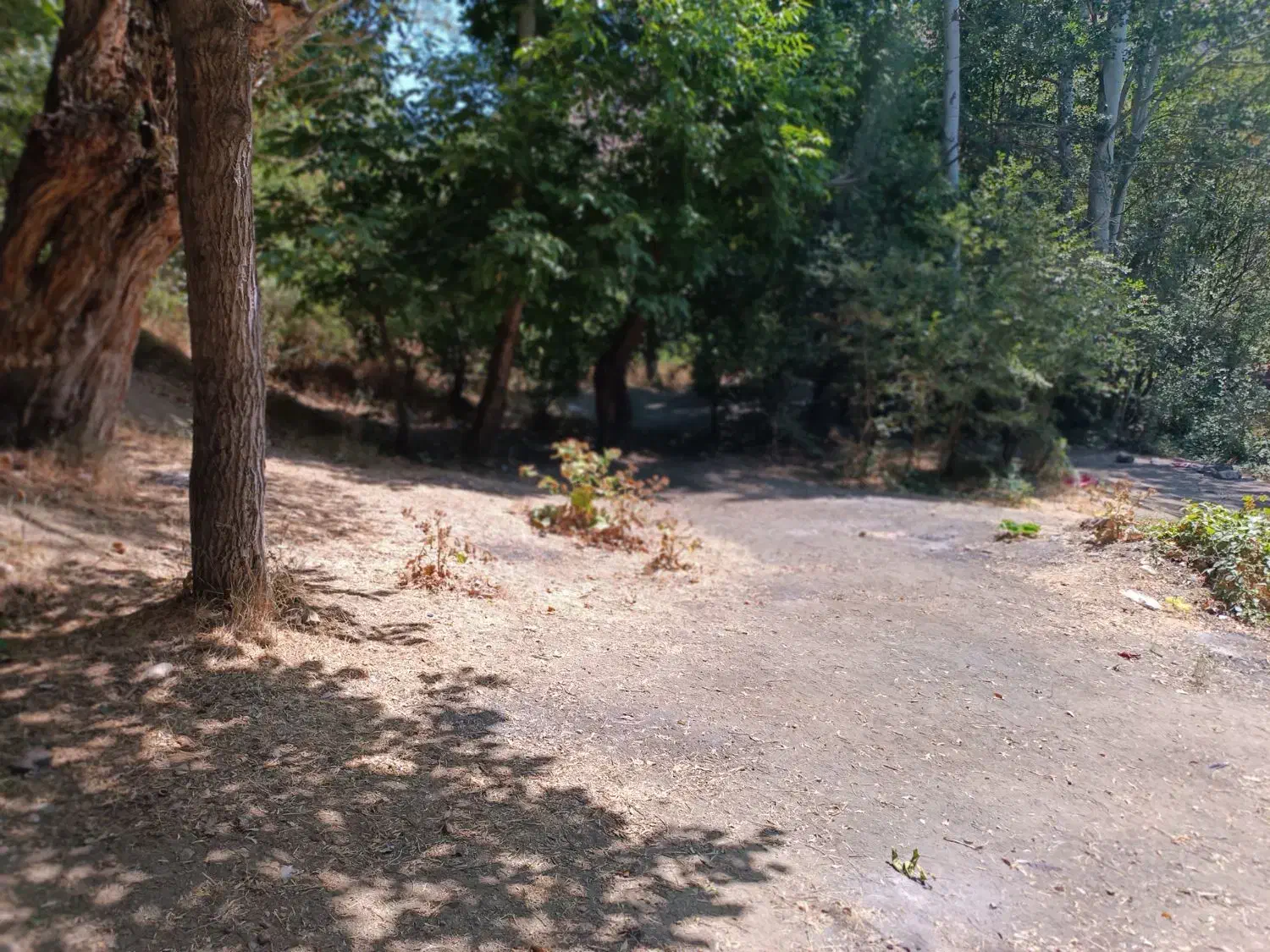 سرمایهگذاری مطمئن و پرسود در قلب منطقه ارنگه|فروش زمین و ملک کلنگی|تهران, زاهد گیلانی|دیوار