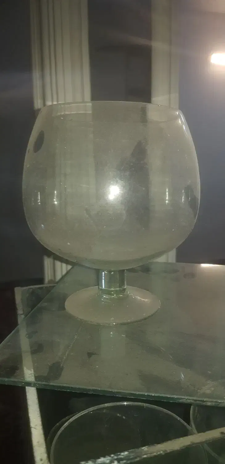 اکواریوم|ماهی|چهاردانگه (تهران), |دیوار