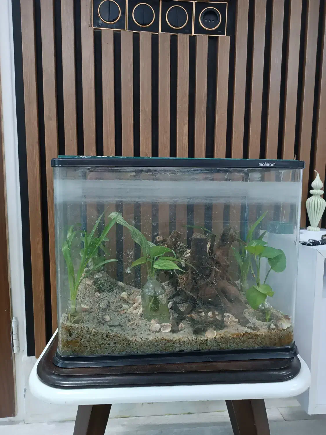 ماهی|ماهی|رباط‌کریم, رباط‌کریم|دیوار