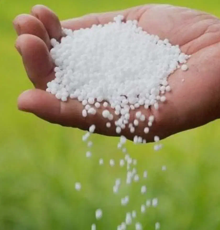 کود اوره|خدمات باغبانی و درختکاری|خمین, |دیوار