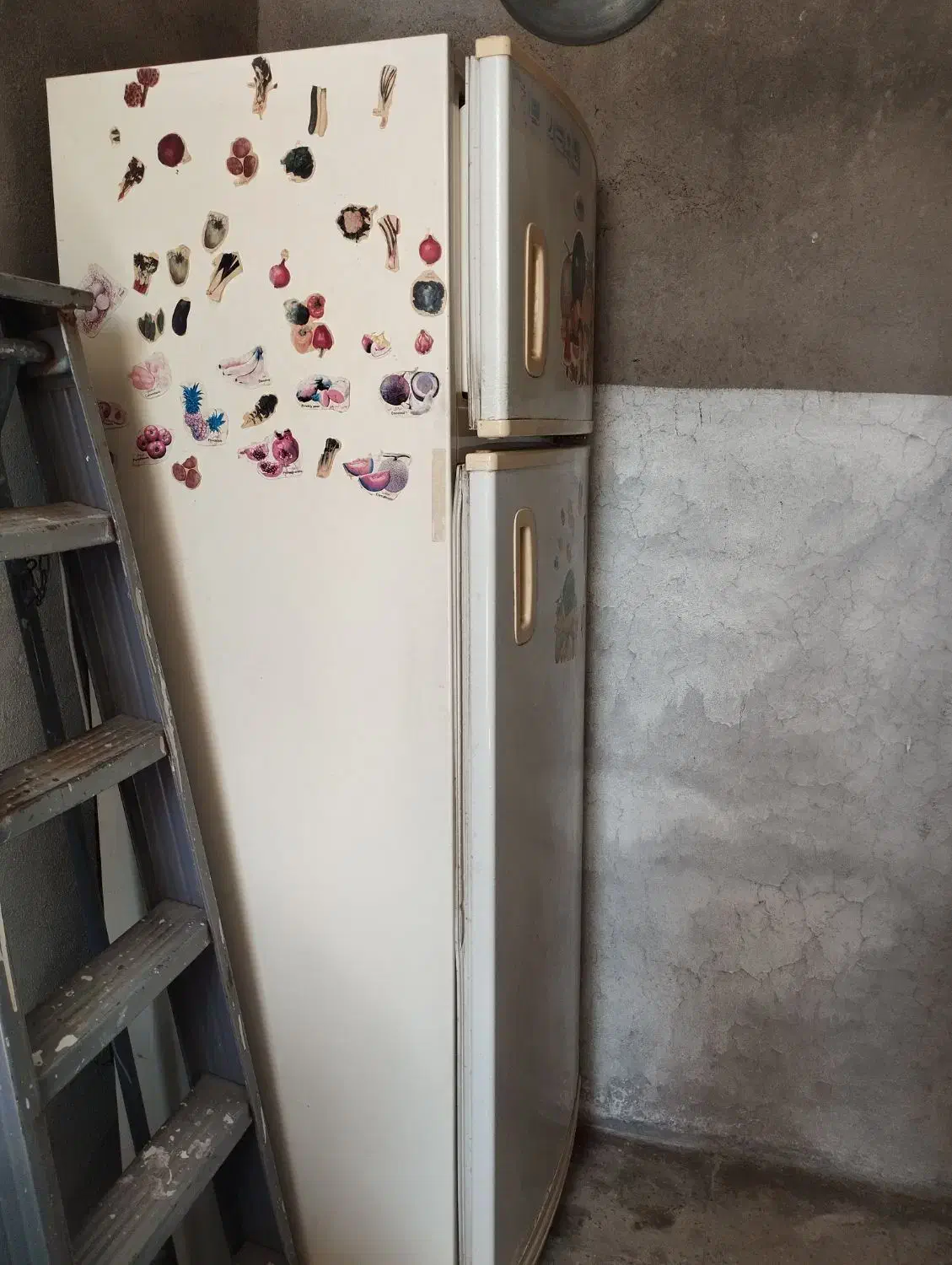 فروش یخچال کارکرده ولی سالم و تمیز.علامرودشت|یخچال و فریزر|علامرودشت, |دیوار