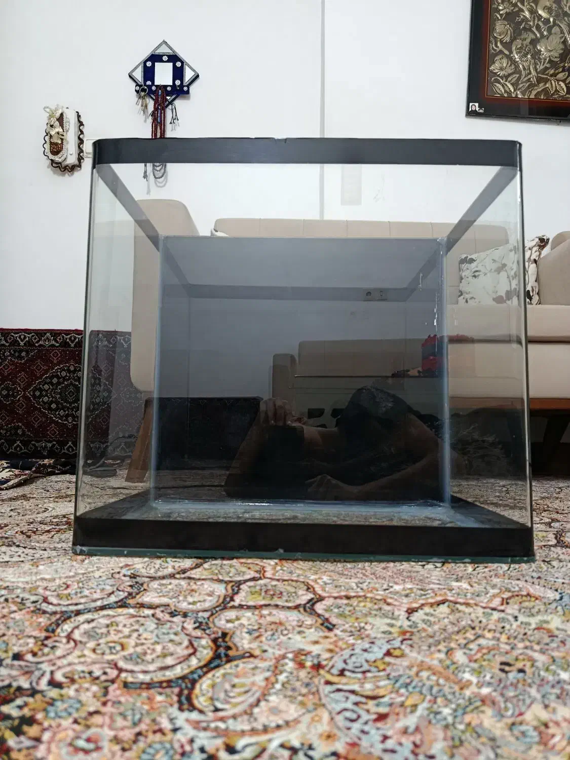آکواریوم شیشه خام|ماهی|سنندج, |دیوار