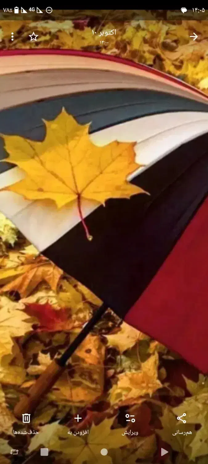 ای مهربان تراز برگ دربوسه های باران|فعالیت داوطلبانه|بندر کنگان, |دیوار