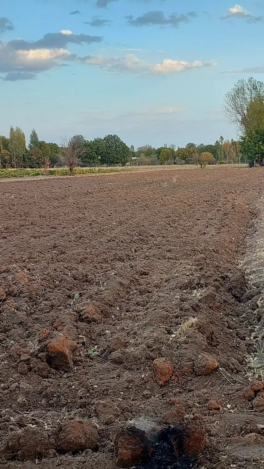 زمین زراعی خوش موقعیت|فروش دفتر صنعتی، کشاورزی، تجاری|خرمدره, |دیوار