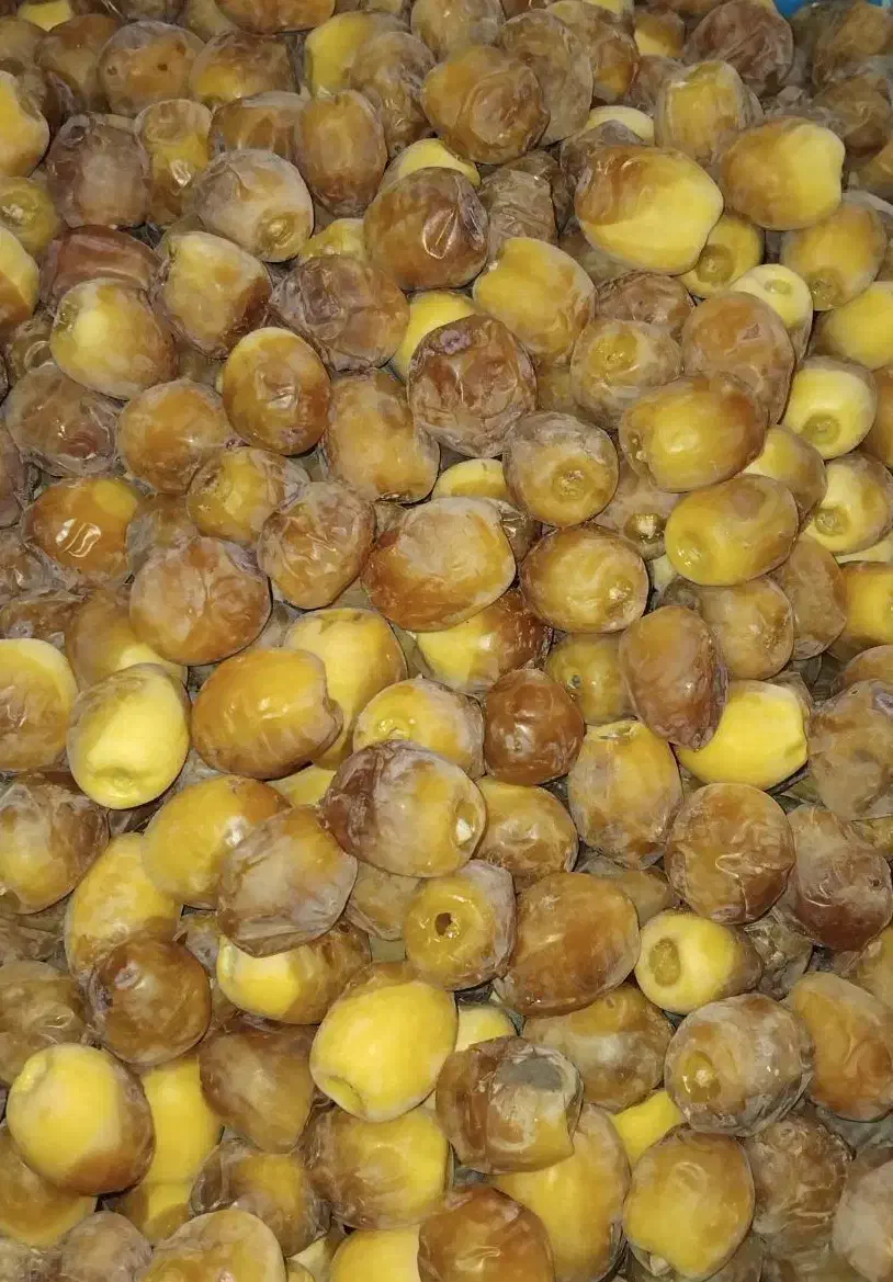 خرما حلیله ای درجه یک|خوردنی و آشامیدنی|بم, |دیوار