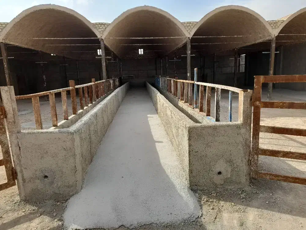 املاک روستای خاوه(ورامین)|فروش دفتر صنعتی، کشاورزی، تجاری|جوادآباد, |دیوار