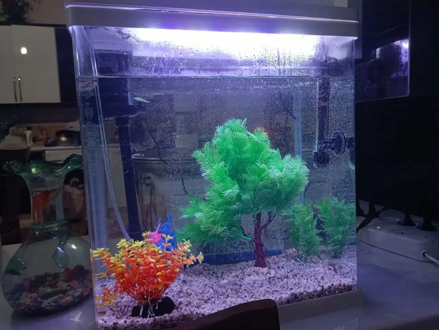 آکواریوم شیشه خم|ماهی|بافت, |دیوار