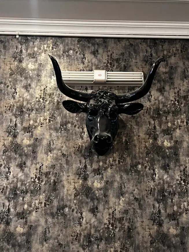 مجسمه پلی استر|مجسمه، تندیس، ماکت|یزد, |دیوار