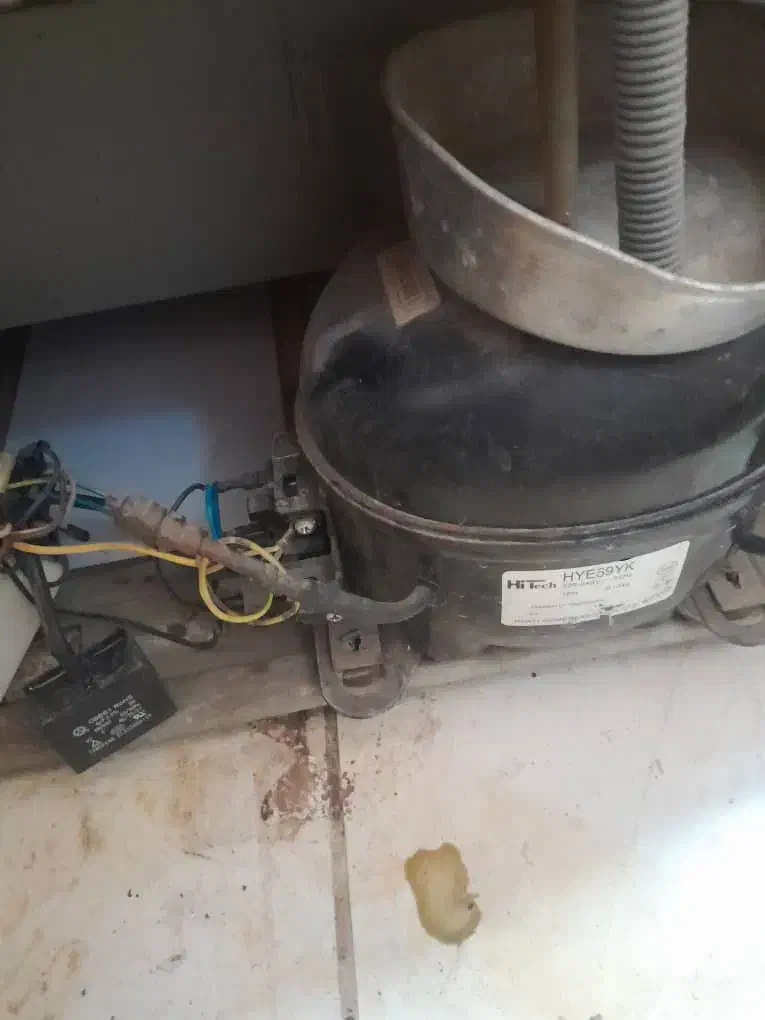 تعمیر انواع یخچال فریزر|خدمات پیشه و مهارت|اهواز, کمپلو جنوبی|دیوار