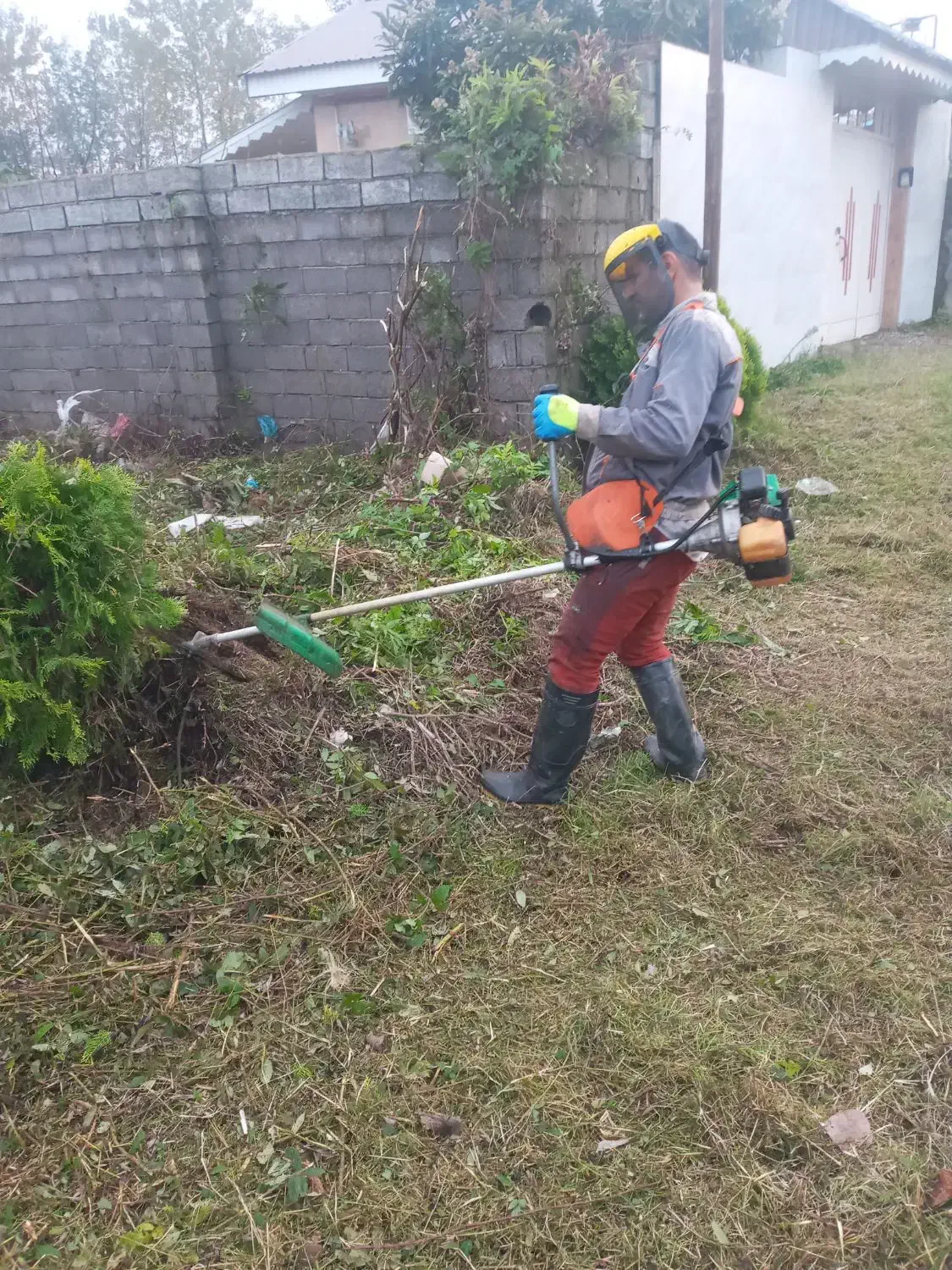 هرس باغ و زمین و سیفتینگ،کنده کاری|خدمات باغبانی و درختکاری|رودبنه, |دیوار