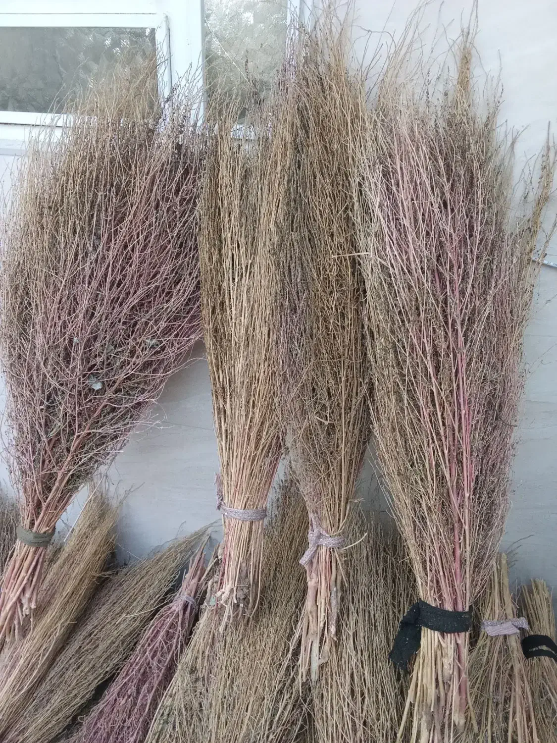 جارو دستی|لوازم نظافت|پلدختر, |دیوار