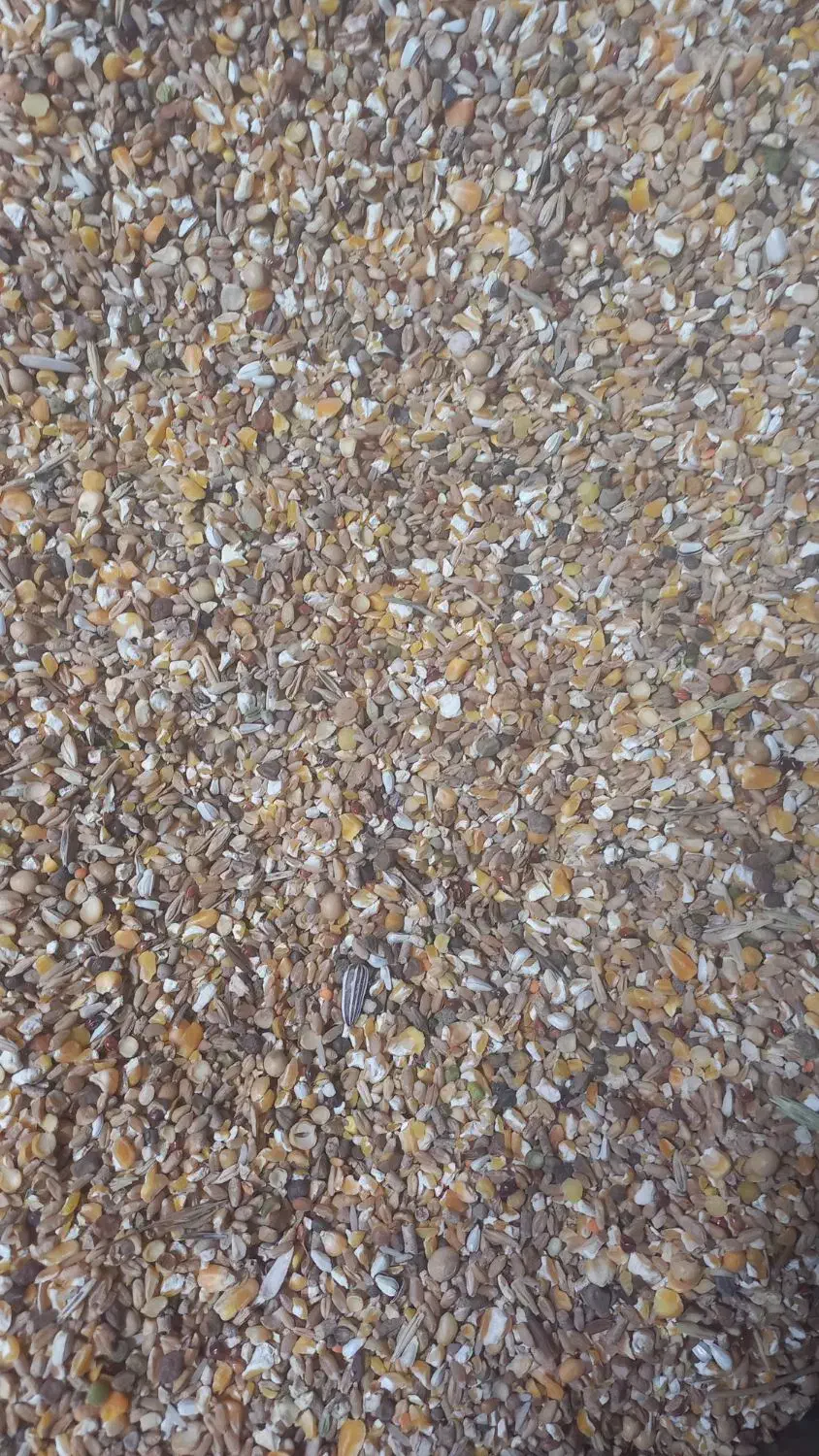 خوارک پرنده عمده و خرده|لوازم جانبی حیوانات|رفسنجان, |دیوار