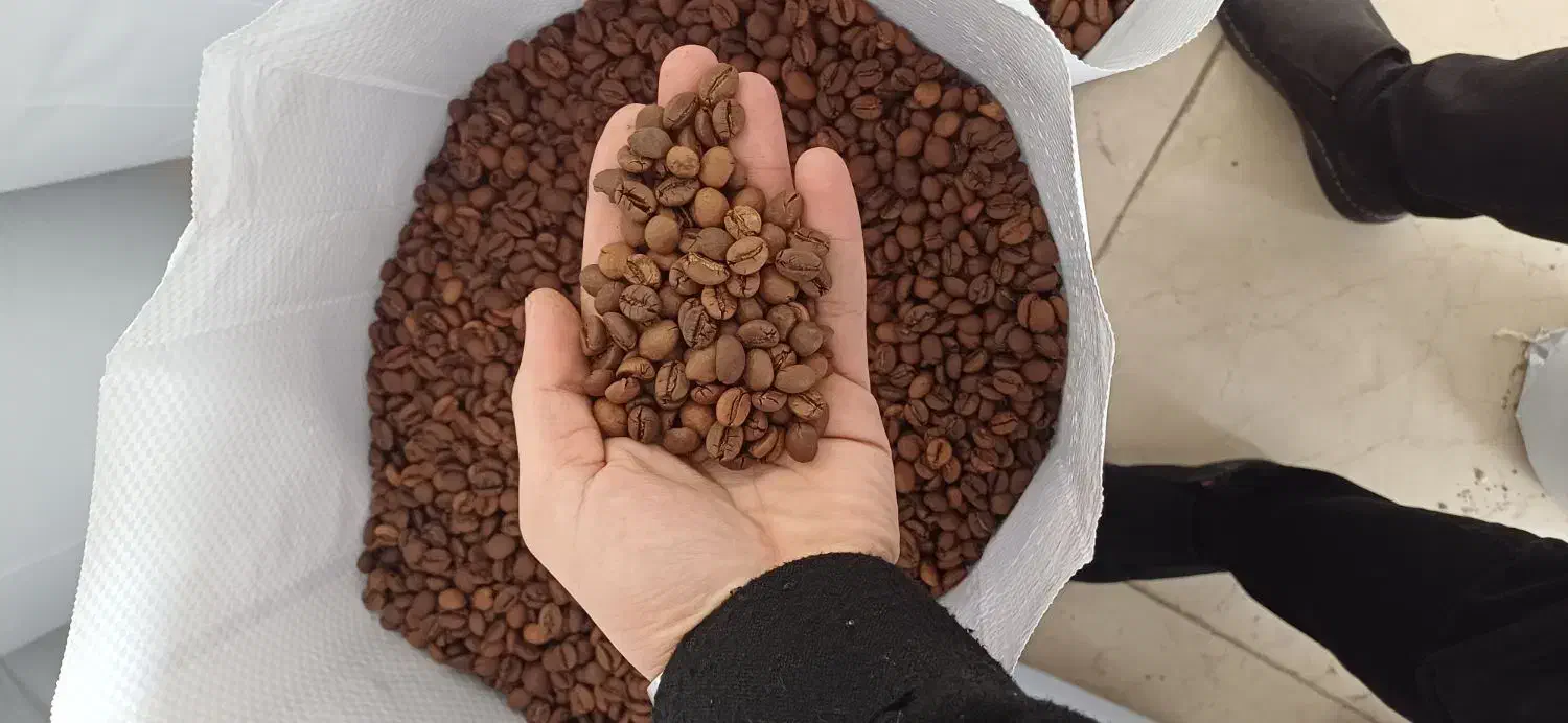 دان قهوه میکس ۱۰۰ روبوستا و ۷۰/۳۰مناسب ترین قیمت|عمده‌فروشی|تهران, تهرانسر مرکزی|دیوار