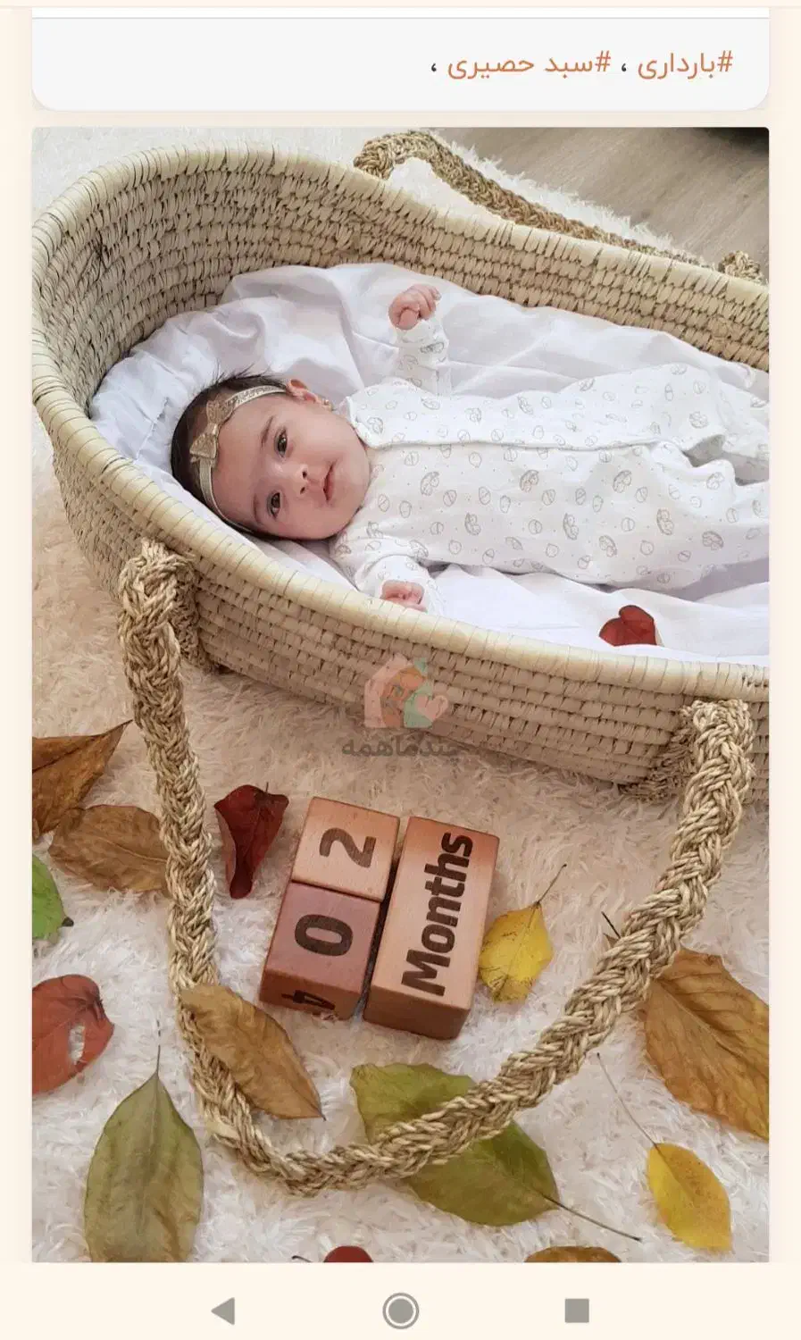 کریر حصیری|کالسکه و لوازم جانبی|بابل, |دیوار