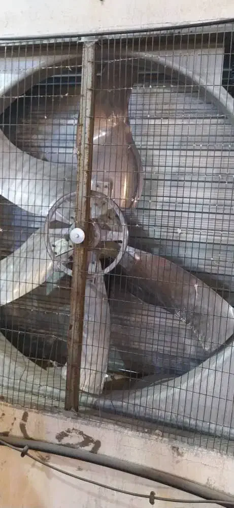 تاسیسات مرغداری|خدمات پیشه و مهارت|شیراز, غدیر شمالی|دیوار