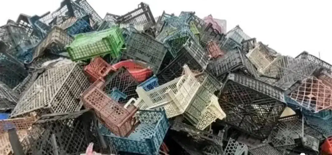 خرید سبد وکارتن ضایعات|خدمات پیشه و مهارت|لاهیجان, انقلاب|دیوار