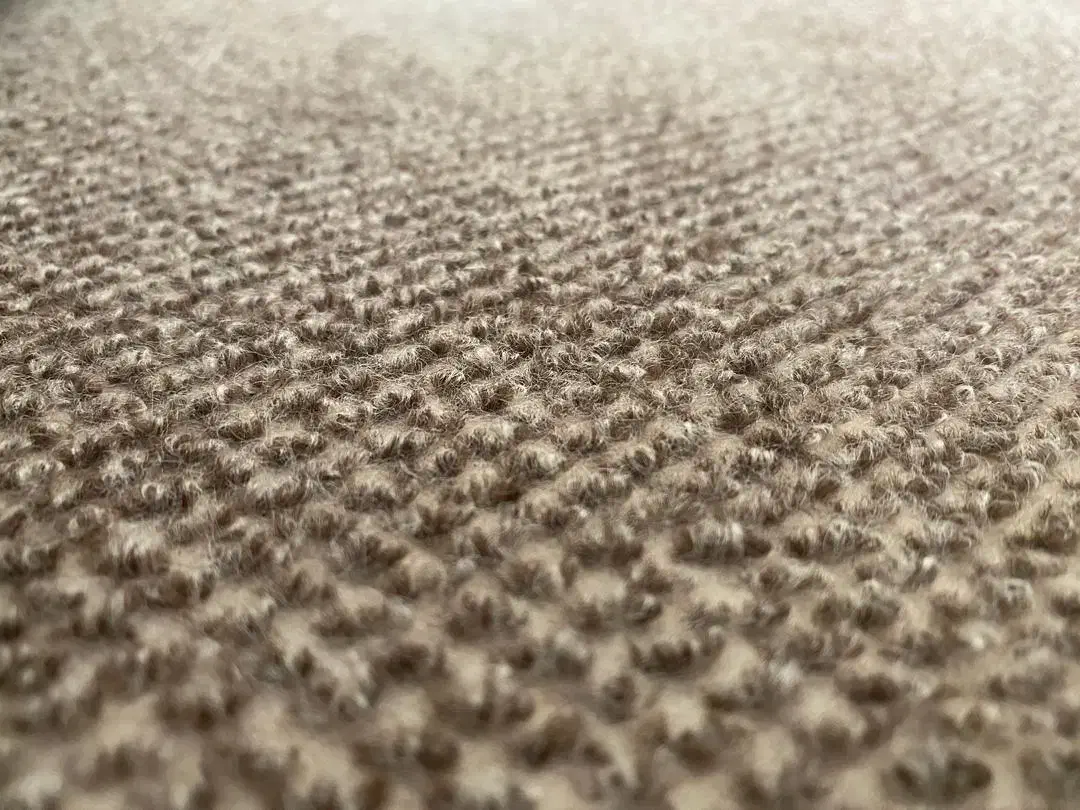 موکت|موکت|رشت, کوی بیانی|دیوار