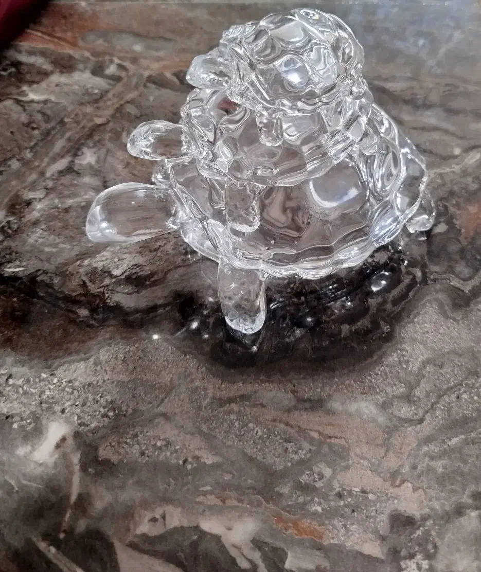 مجسمه لاک پشت|مجسمه، تندیس، ماکت|سریش آباد, |دیوار