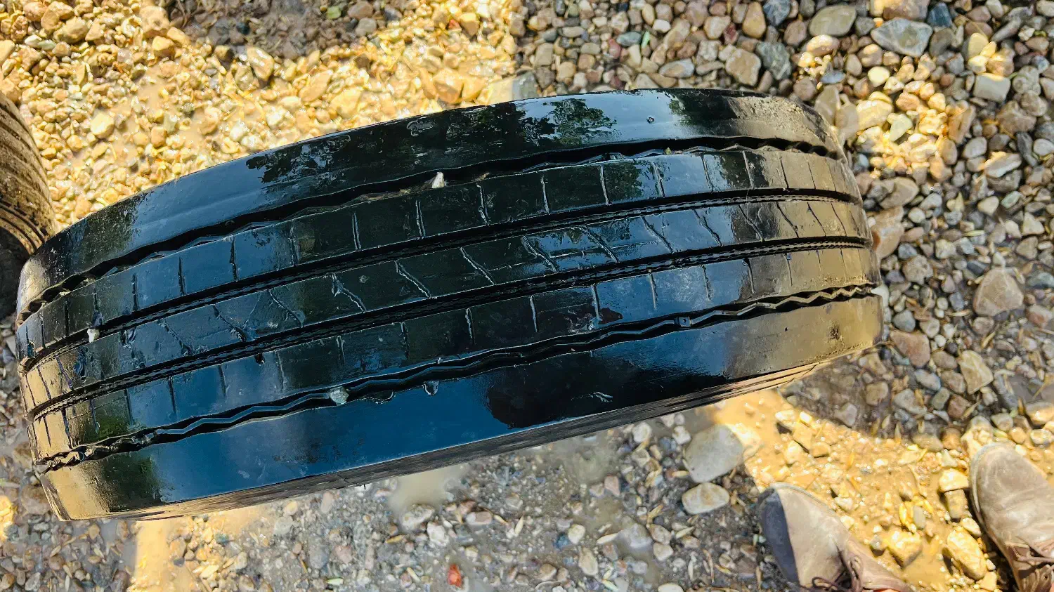 رینگ تیوبلس نیسان|قطعات یدکی و لوازم جانبی|نیریز, |دیوار