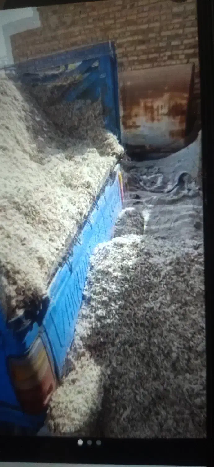 چقندر|عمدهفروشی|باخزر, |دیوار