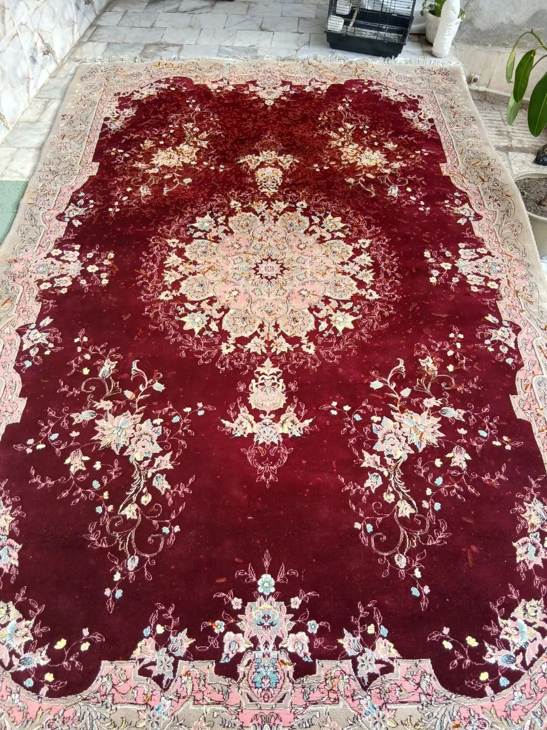 موکت پادری|پادری|گرگان, |دیوار